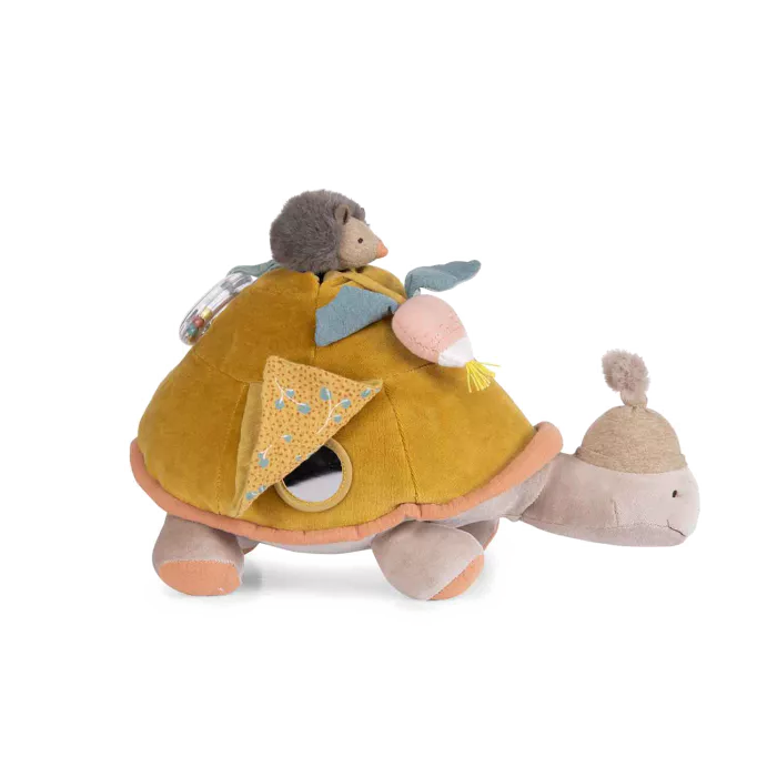 GRANDE TORTUE D'ACTIVITES